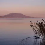 Проживание в семье Jasmin House Вонярцвашхедь