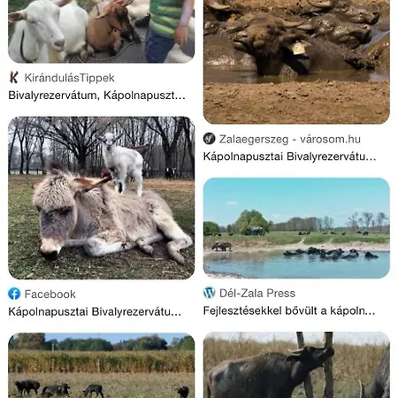 Jasmin House فونيارتْسفاشغ