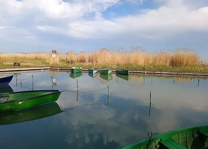 Homestay Jasmin House *