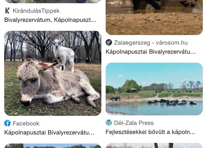 Jasmin House Vonyarcvashegy